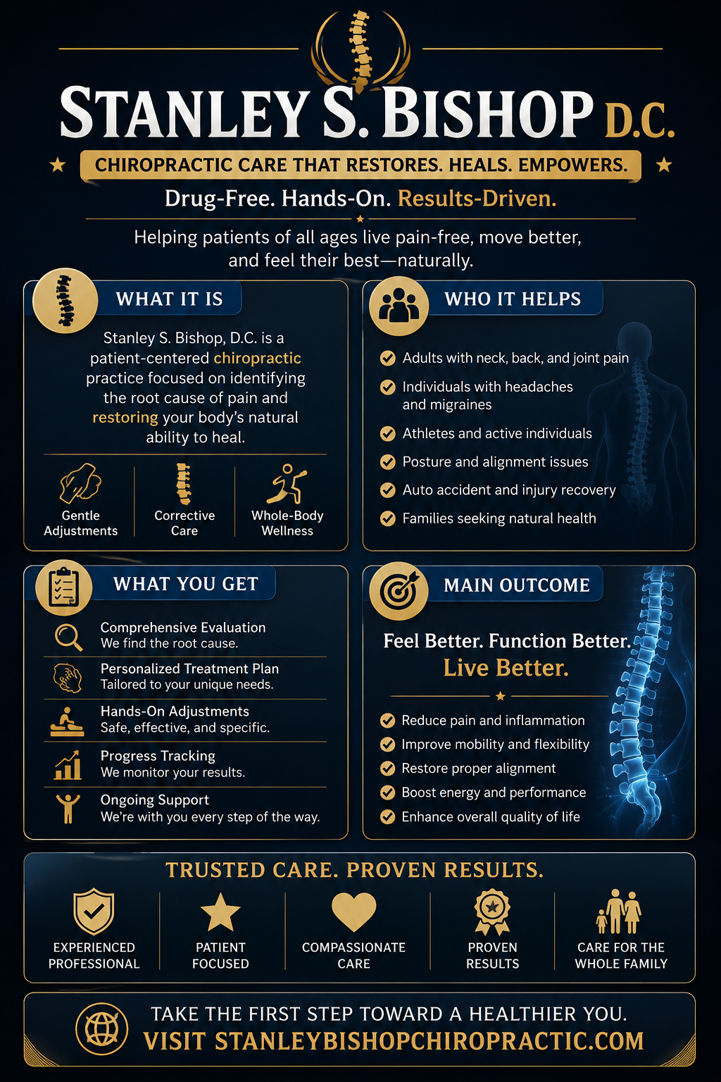 Multi-panel infographic overview for Stanley S. Bishop D.C. Chiropractic Care showcasing what it is, who it helps, what you get, and the main wellness outcomes.